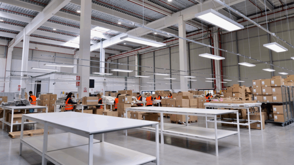 ovs frugal frugal management lean marketing